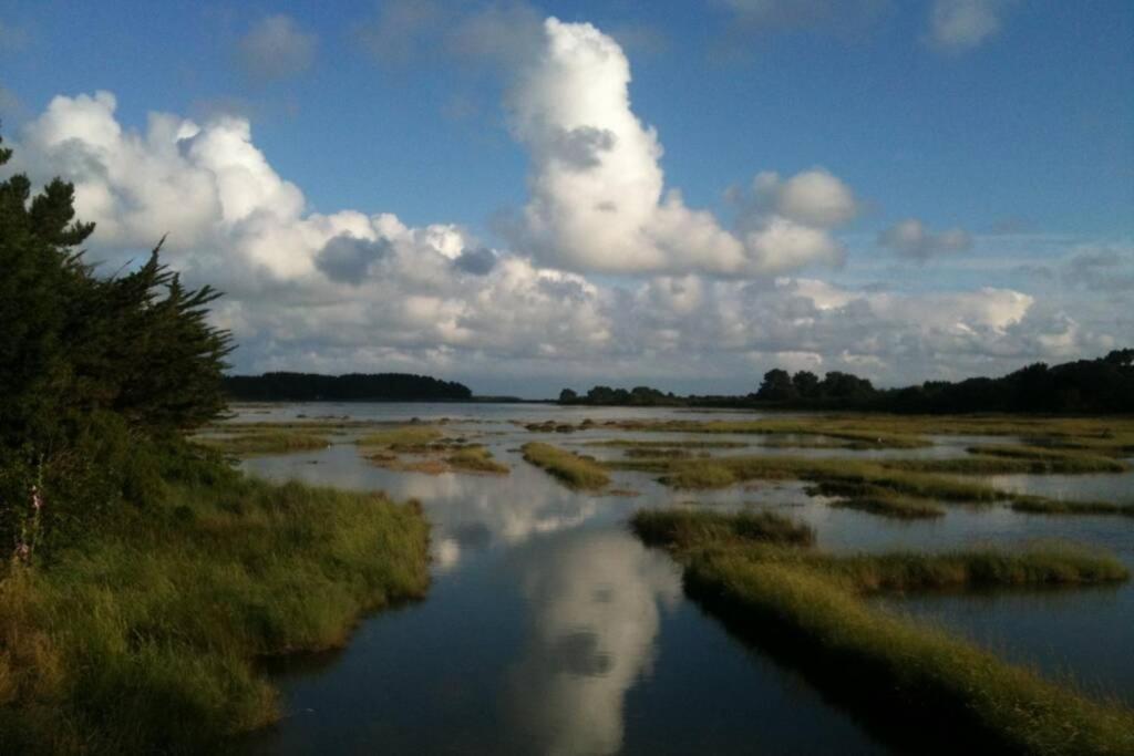 Maison Avec Jardin Clos. Animaux Acceptes - Wifi - Proche Plages De La Trinite Sur Mer Et Carnac Экстерьер фото